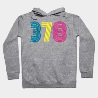 378 (neon distressed) Hoodie